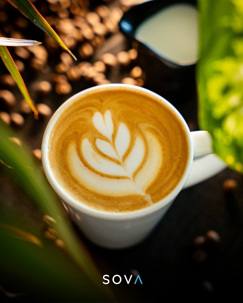 Sakarya Sosyal Medya Yönetimi, Reklam Ajansı, Ürün Çekimi